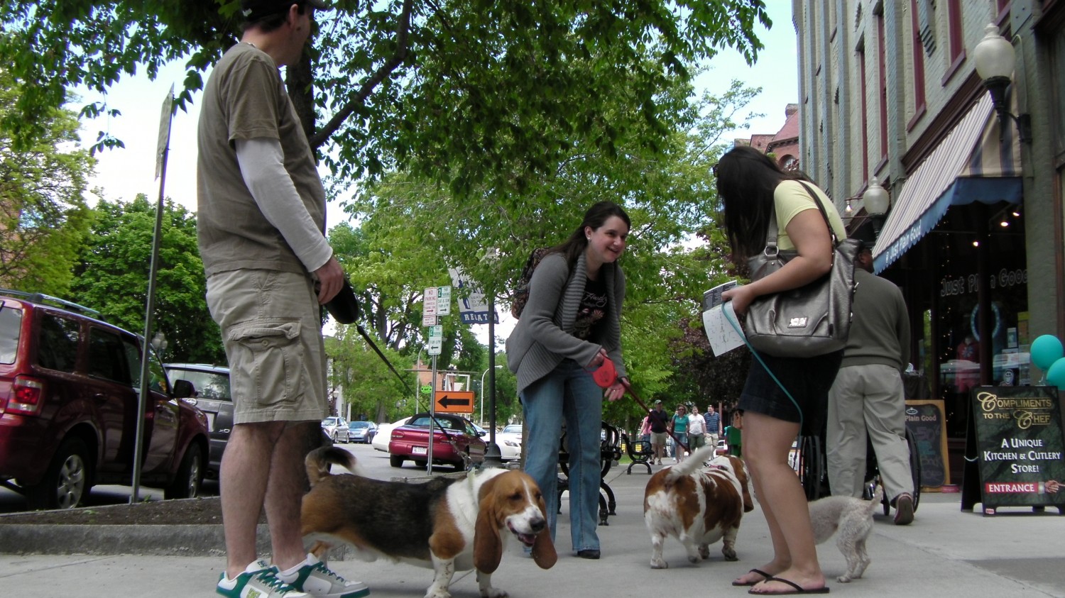 Saratoga Springs for Dog-Friendly Businesses