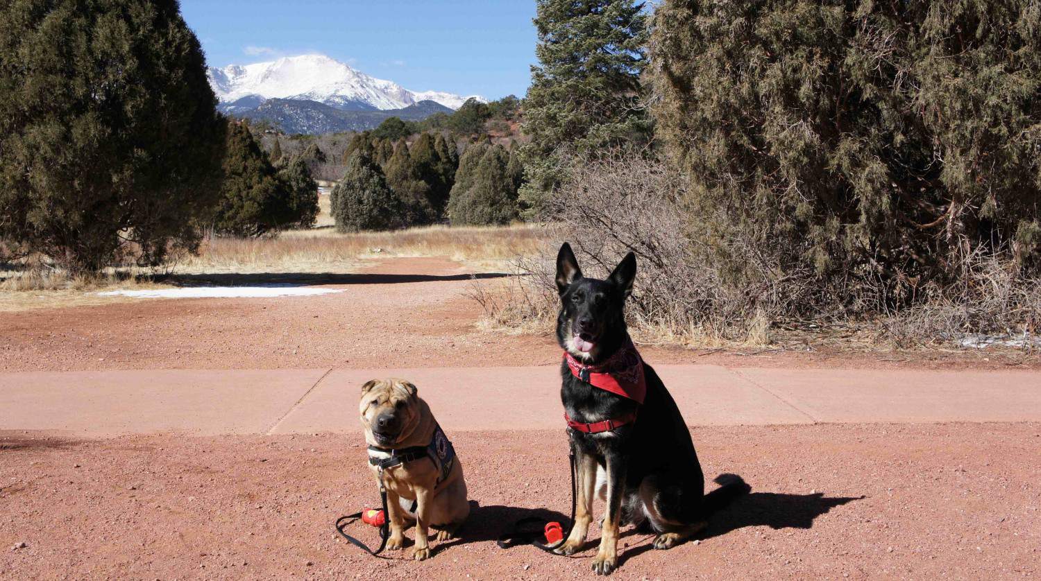 Pet Friendly Attractions in Manitou Springs, CO