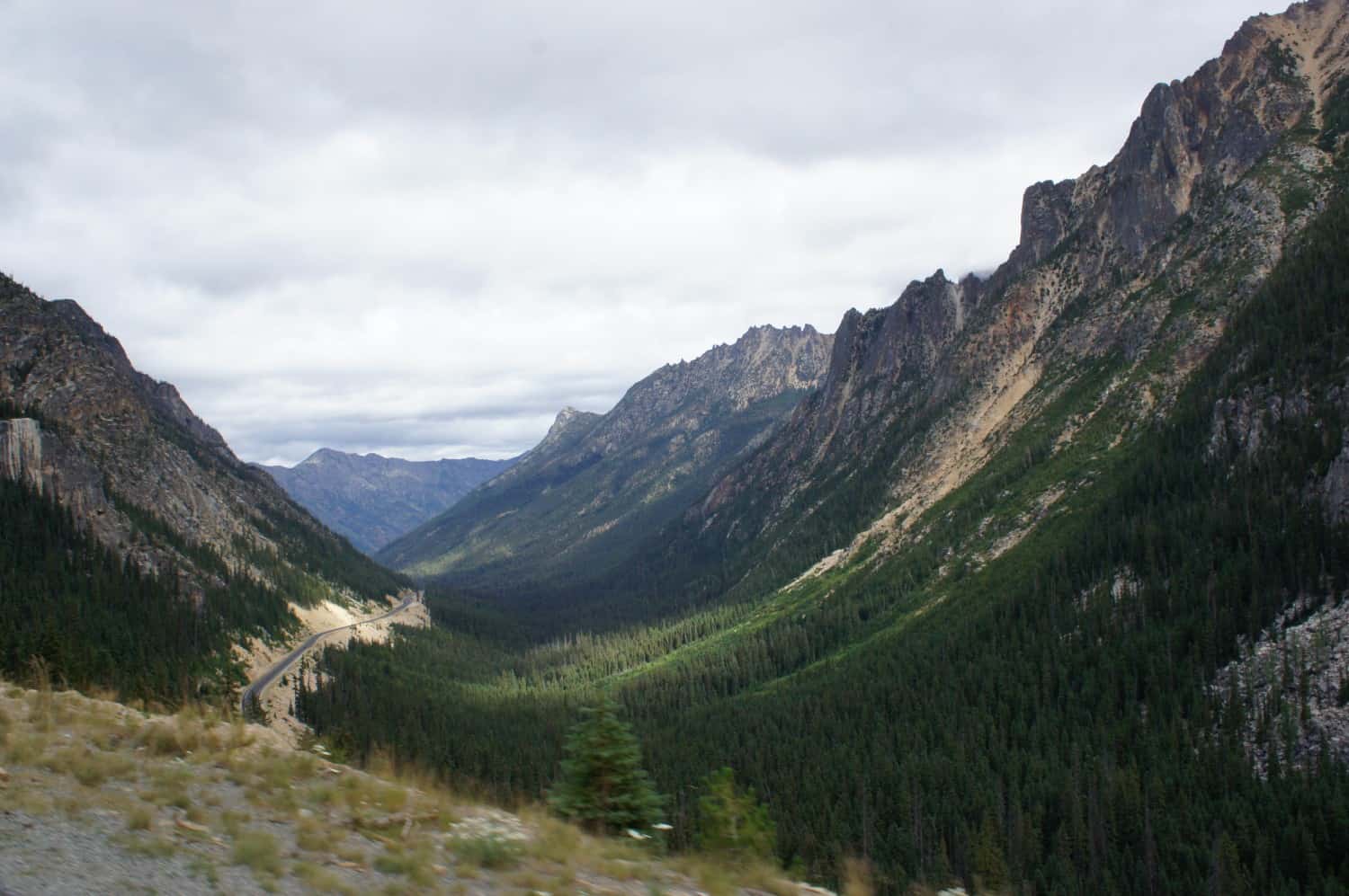 Pet Friendly Sightseeing in the Northern Cascades