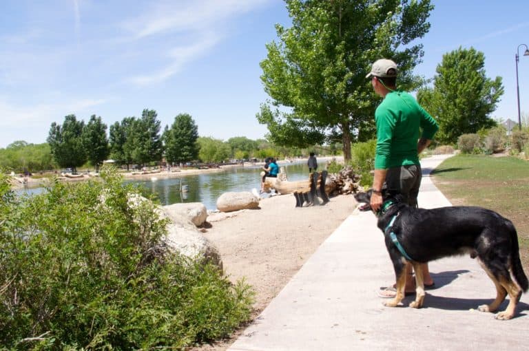 Dog Friendly Things To Do In Albuquerque | GoPetFriendly