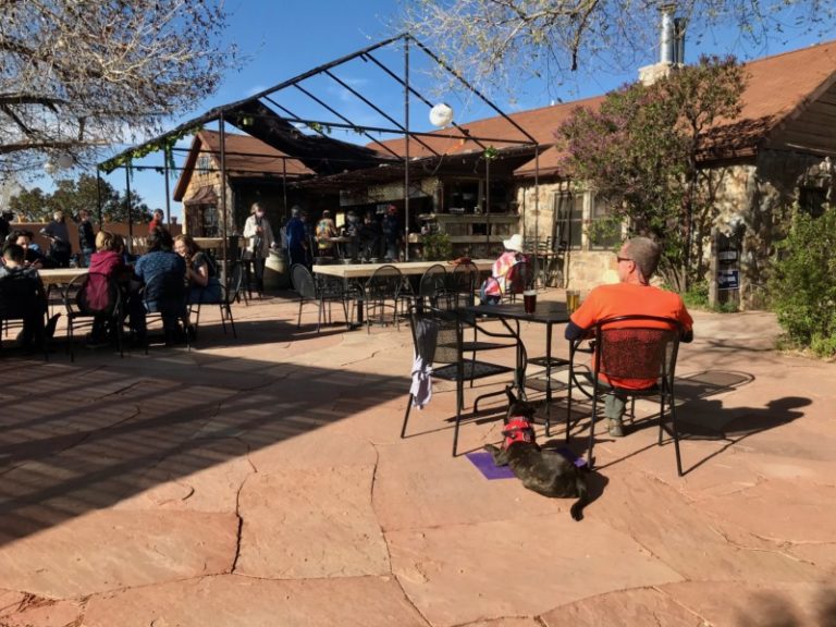 Dog Friendly Things To Do In Albuquerque | GoPetFriendly