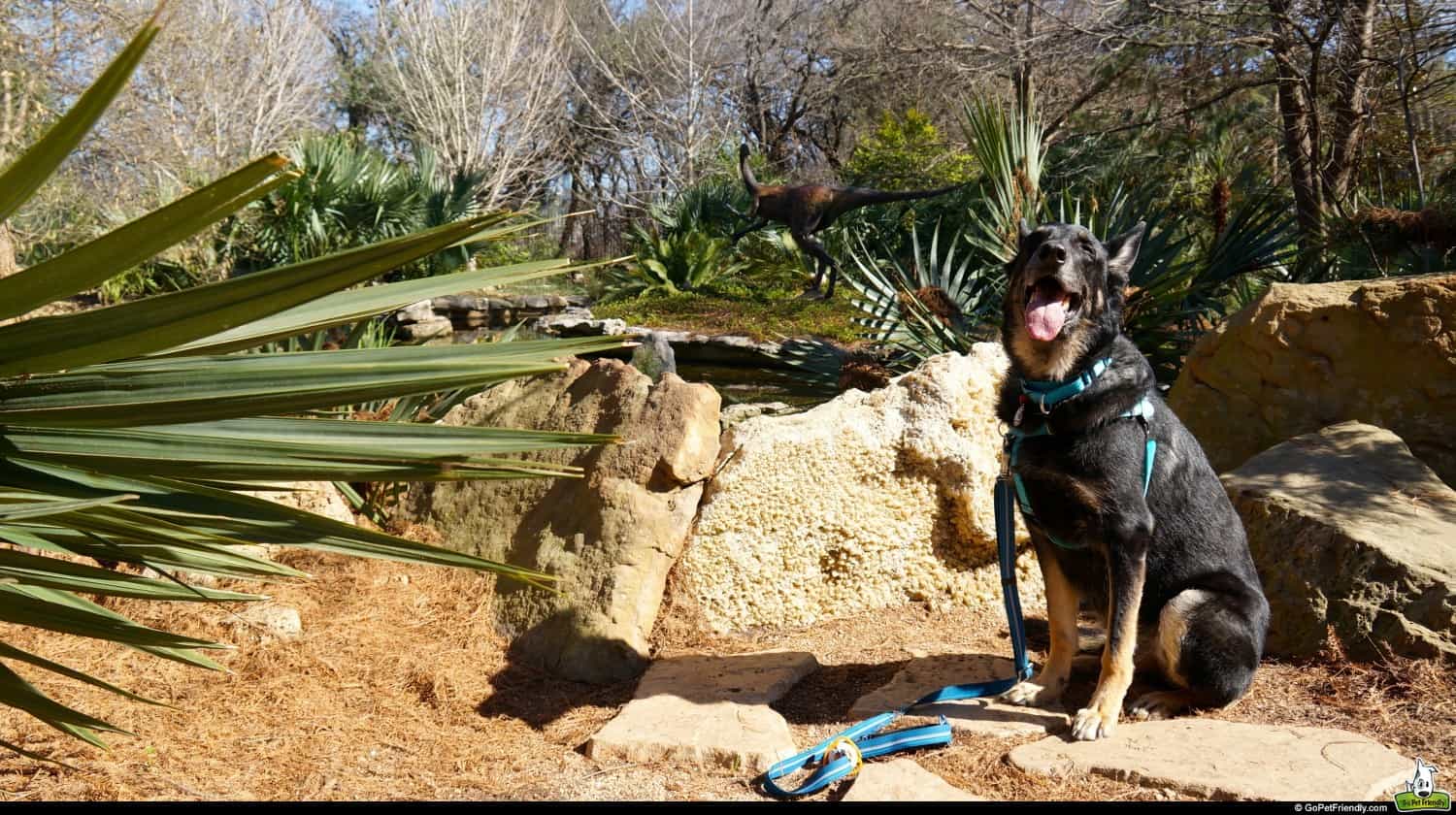 Dog Friendly: Zilker Botanical Garden in Austin