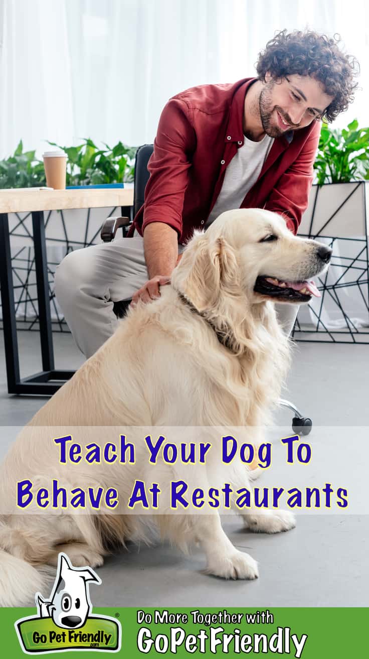 are companion dogs allowed in restaurants