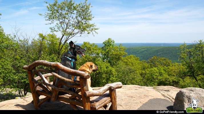 More Dog Friendly Activities in New York's Hudson Valley