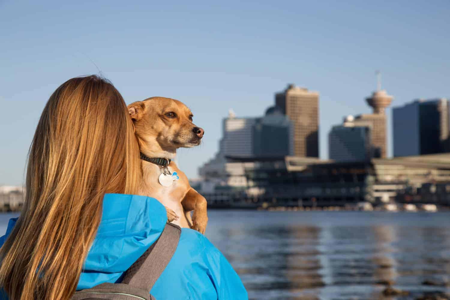 Vancouver's Top 5 Dog Friendly Things To Do