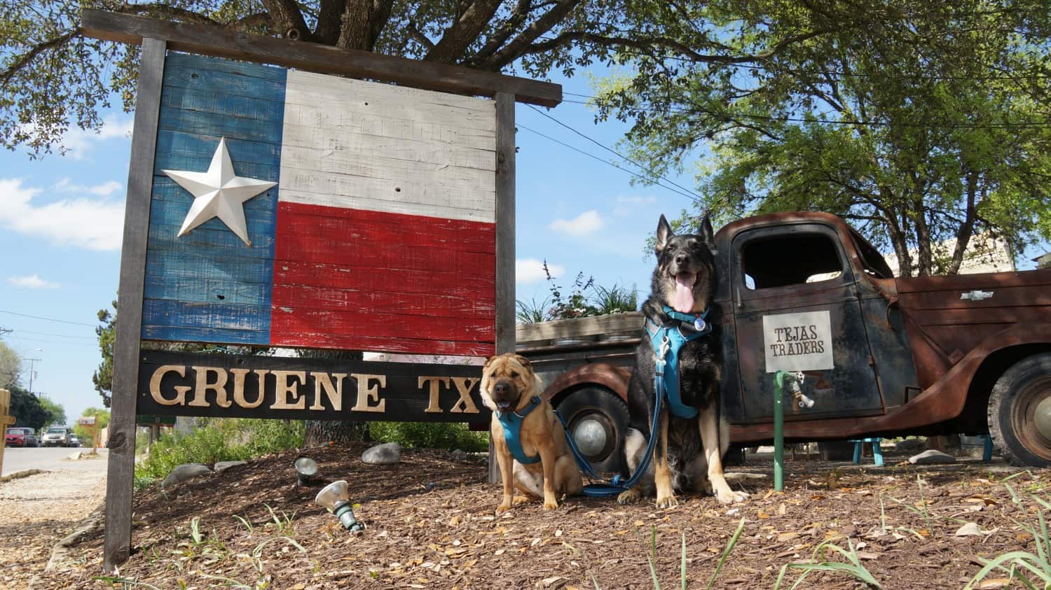 Doggone Disappointing: A Stroll Around Gruene, Texas