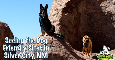 Seeing the Dog Friendly Sites in Silver City