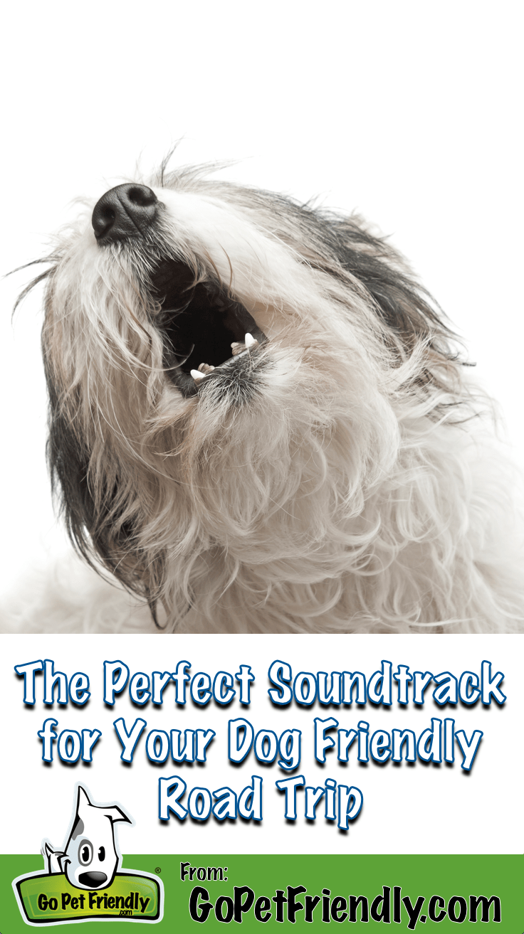 This is the perfect soundtrack for your next dog friendly road trip!