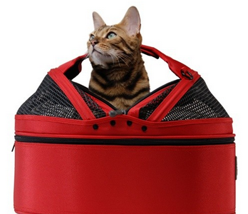 This Cat Carrier Is Travel Writer-approved