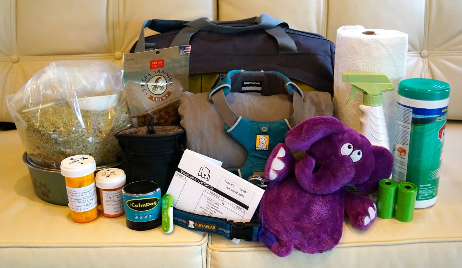 Packing the right gear for your pets is important for any pet friendly road trip.