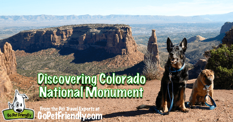 Visiting Colorado National Monument With Dogs