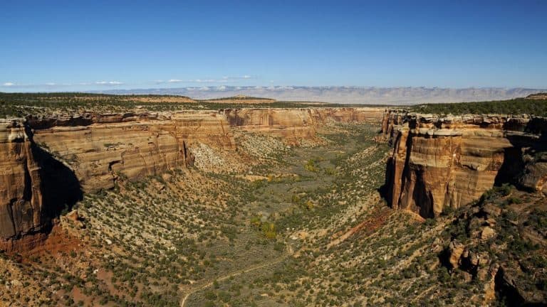 Visiting Colorado National Monument with Dogs | GoPetFriendly.com