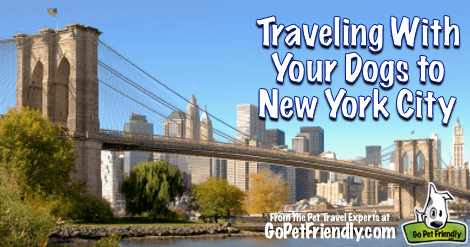 Traveling With Your Dogs to New York City