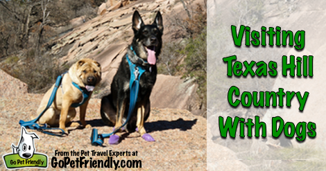 Visiting Texas Hill Country with Dogs