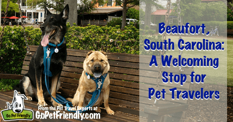 Beaufort, South Carolina - A Welcoming Spot for Pet Travelers