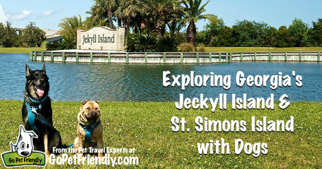 Exploring Georgia's Jekyll and St. Simons Islands with Dogs
