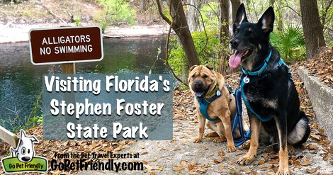 Visiting Florida's Stephen Foster State Park With Dogs