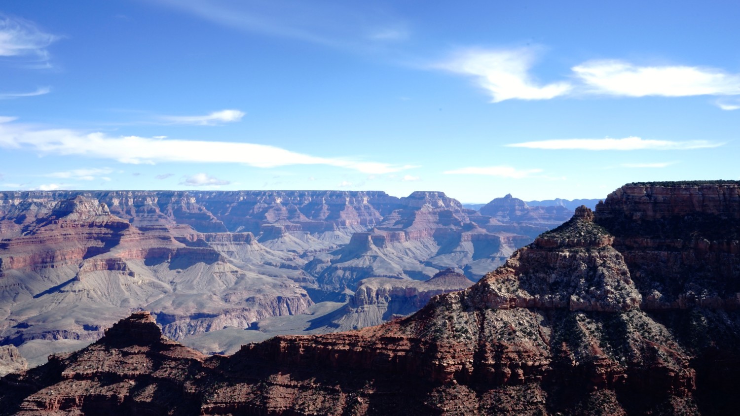 Pet Friendly National Park: The Grand Canyon | GoPetFriendly.com