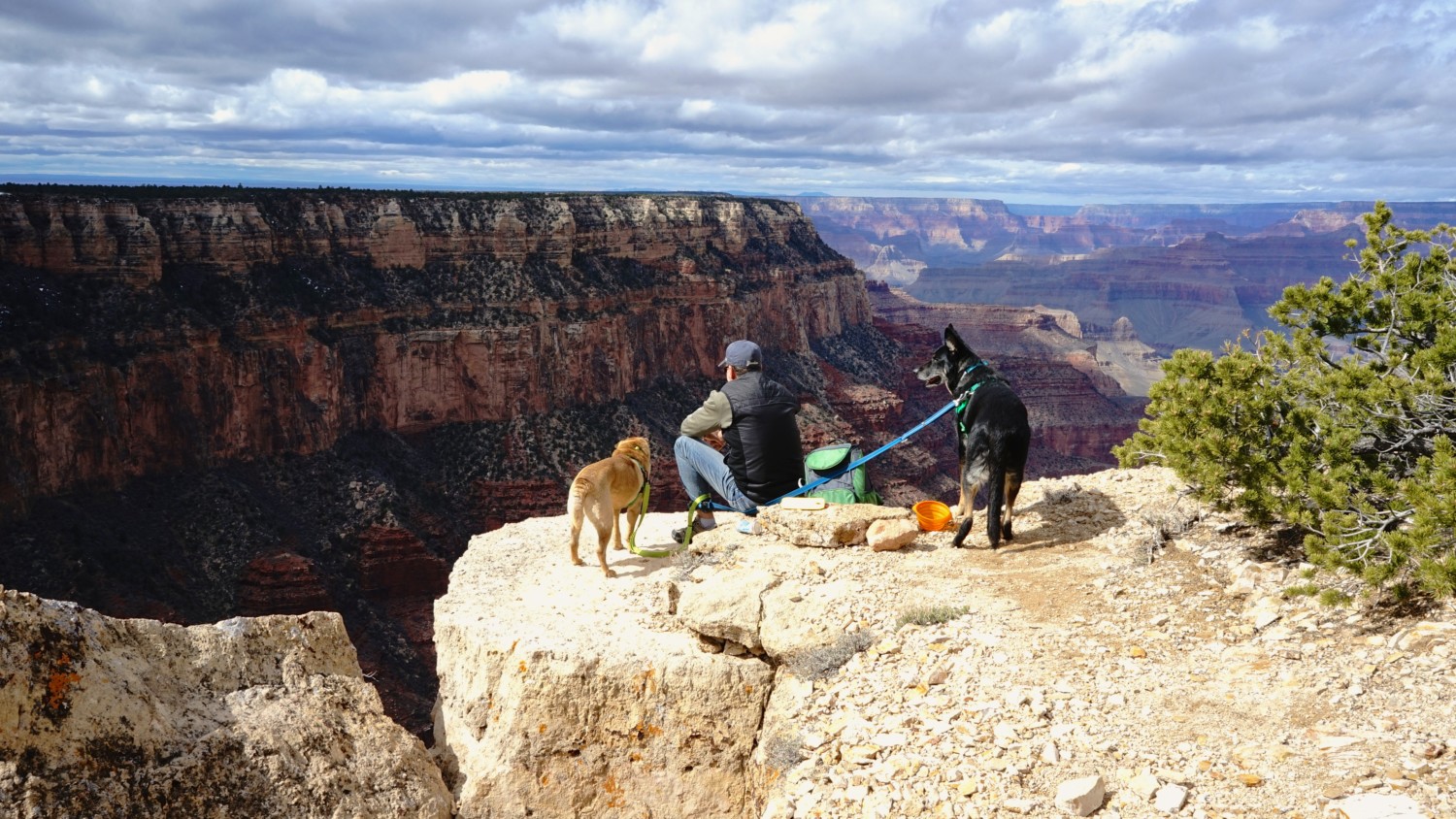 Homem e dois cachorros apreciando a vista do Parque Nacional do Grand Canyon