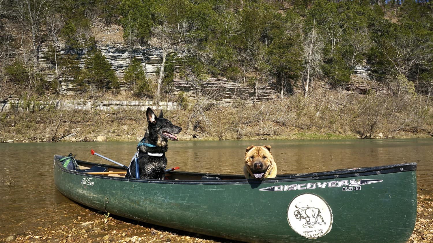 Arkansas' Top Pet Friendly Attractions: Buffalo National River | GoPetFriendly.com
