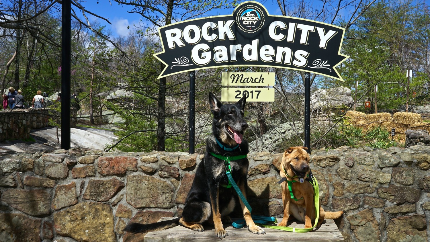 Georgia's Top Pet Friendly Attraction: Rock City Gardens