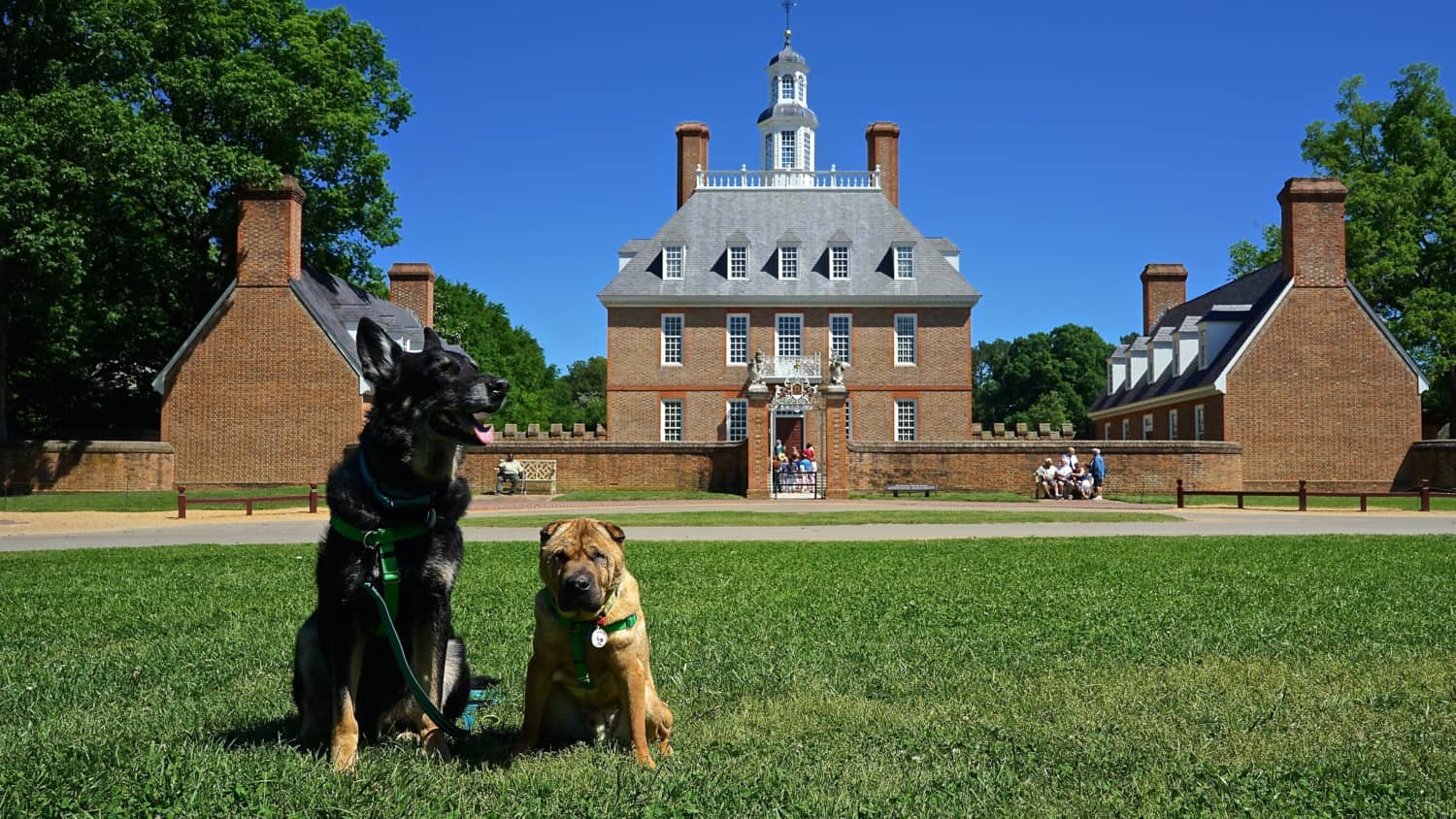 Virginia's Top Pet Friendly Attraction: Colonial Williamsburg
