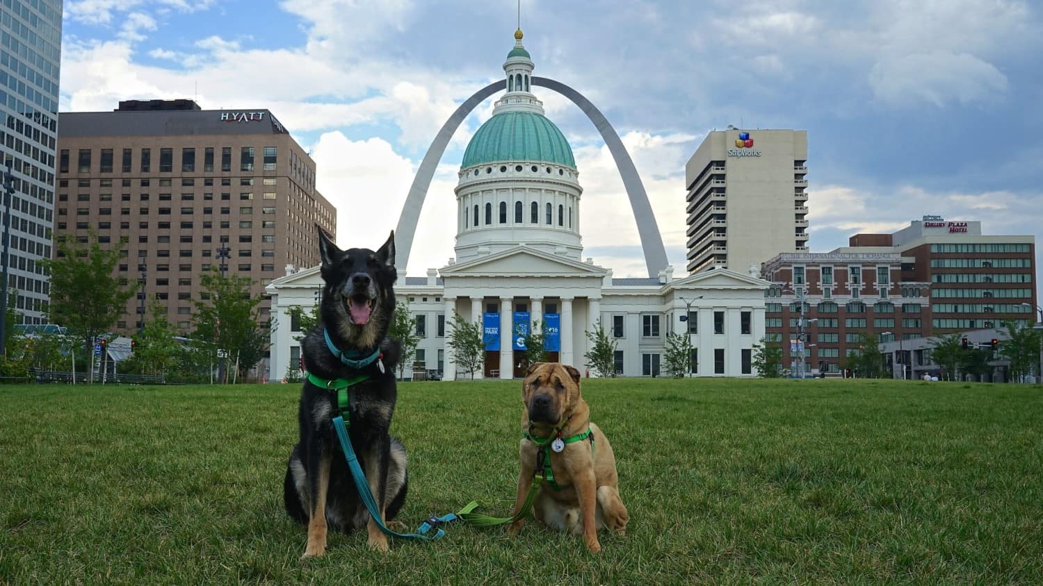 Missouri's Top Pet Friendly Attraction: Gateway Arch Park