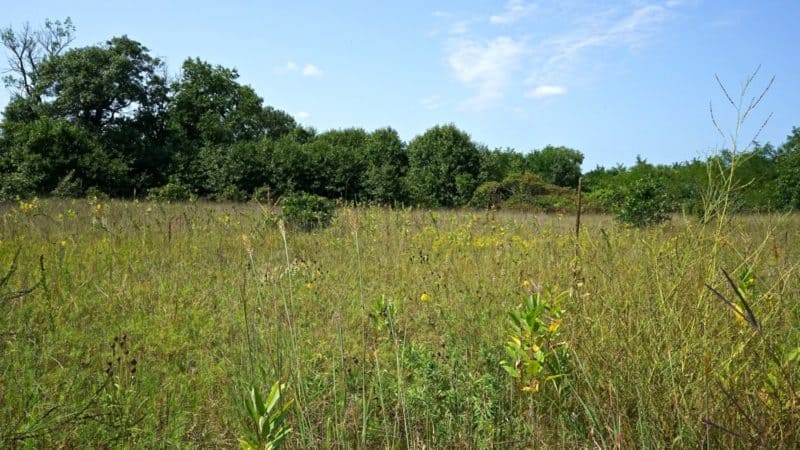 Wisconsin's Top Pet Friendly Attraction: Trempealeau National Wildlife ...