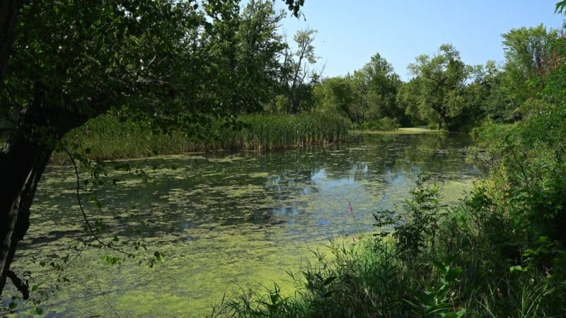 Wisconsin's Top Pet Friendly Attraction: Trempealeau National Wildlife ...