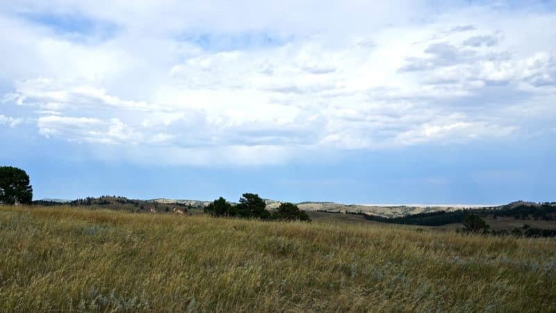 Pet Friendly Custer State Park in South Dakota