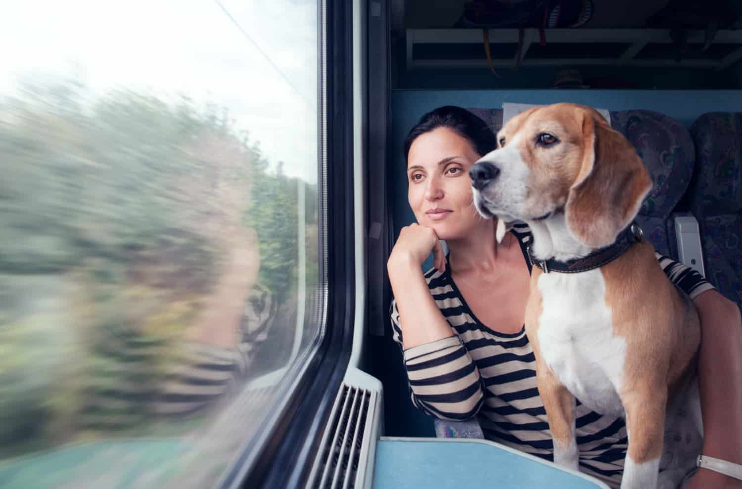 are dogs allowed on passenger trains