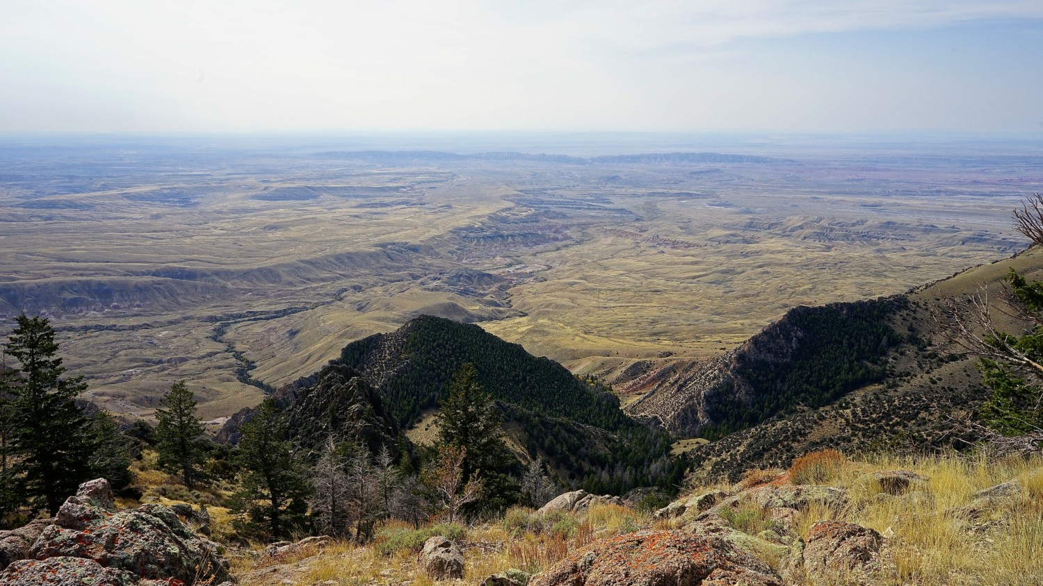 Wyoming's Top Pet Friendly Attraction: Bighorn National Forest-Medicine ...