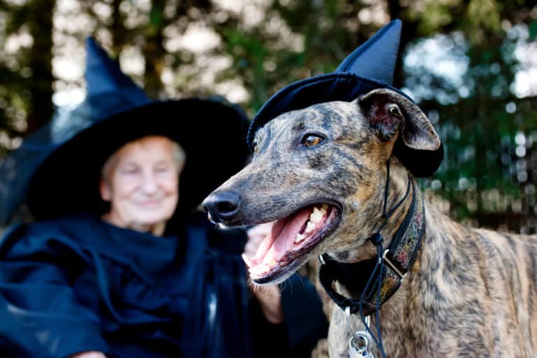 America's Best Pet Friendly Ghost Tours | GoPetFriendly