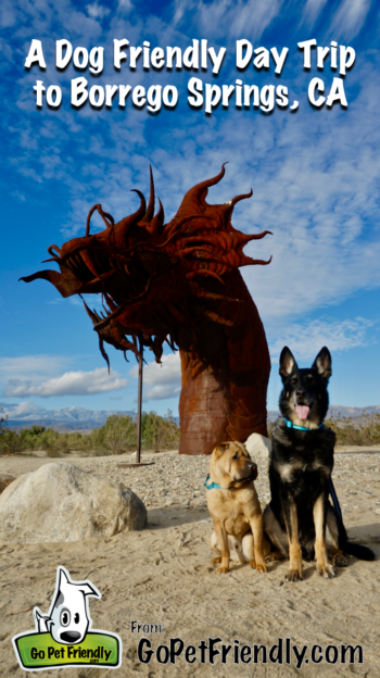 Borrego Springs: A Dog Friendly Day Trip | GoPetFriendly.com