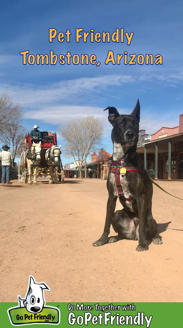 Pet Friendly Fun In Tombstone, Arizona
