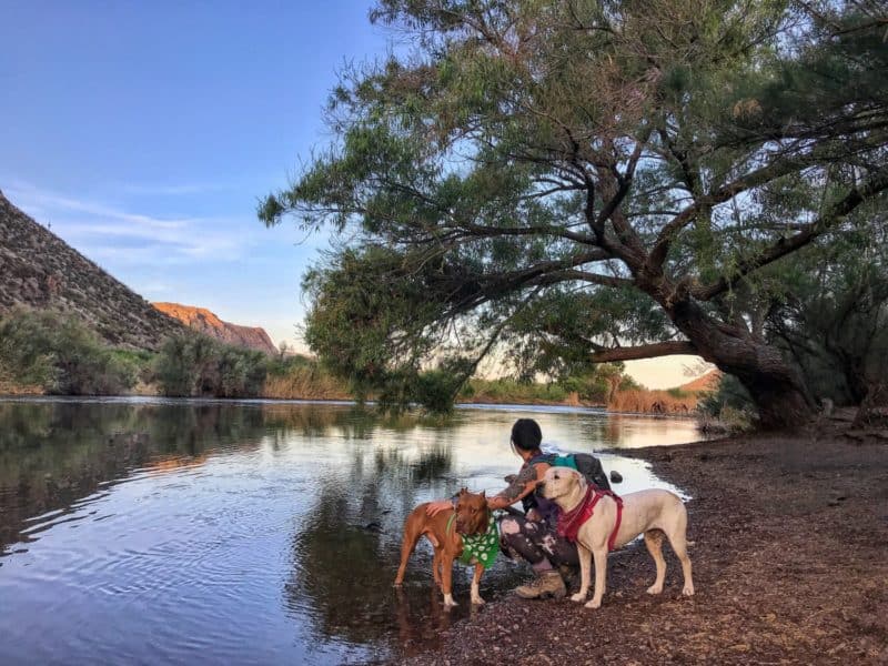 hikes near me for dogs