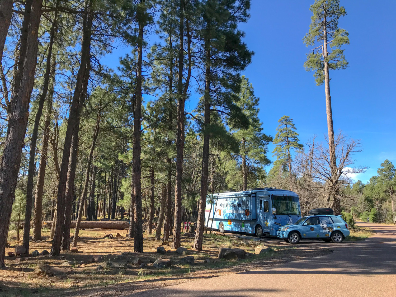 Aspen Campground Review - Apache-Sitgreaves National Forests, Arizona