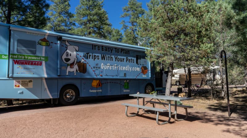 Sharp Creek Campground Review - Tonto National Forest, Arizona