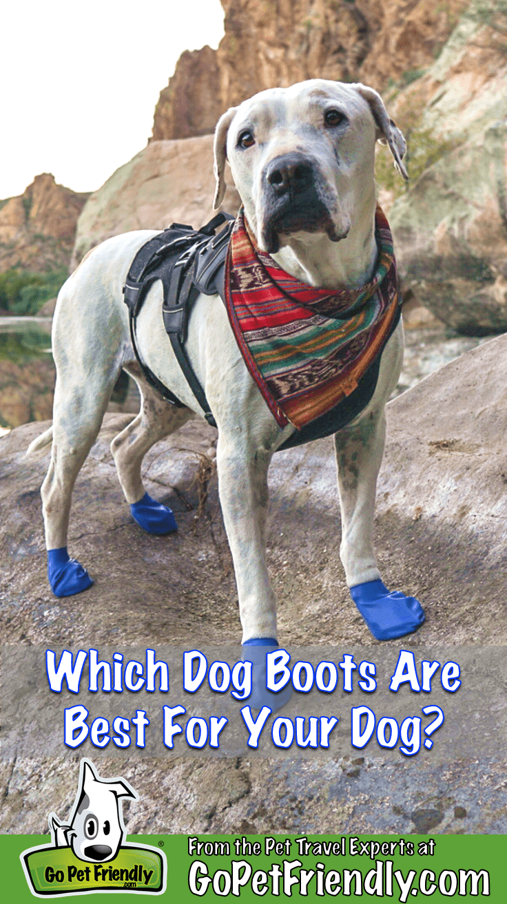 Dog Boots Guaranteed to stay on: Backcountry Paws Gaiters review