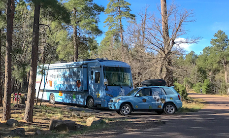 GoPetFriendly.com Winnebago in Aspen Campground, Arizona