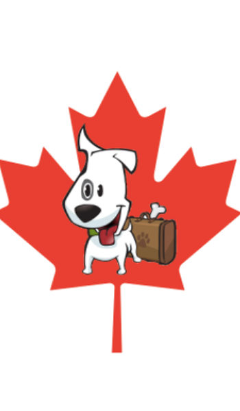 Characterchure of a white dog with bent ear on a red maple leaf background