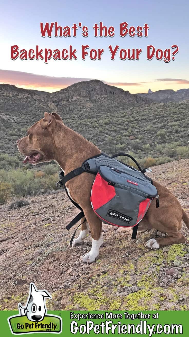 Dog Travel Bag Backpack with Poop Bag Dispenser Multi-Function