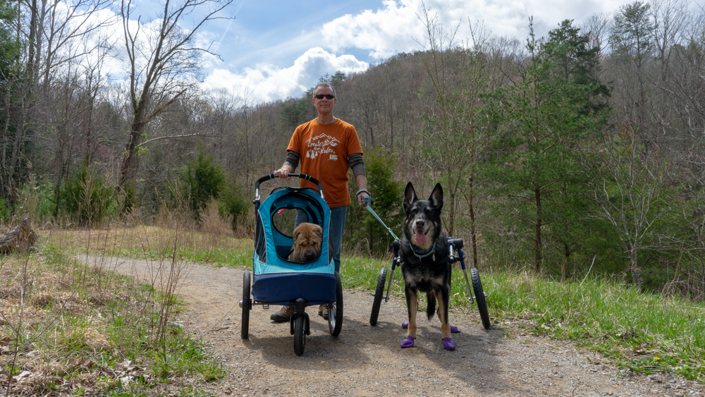Man with two dogs walking a pet friendly trail at Cumberland Gap National Historic Park