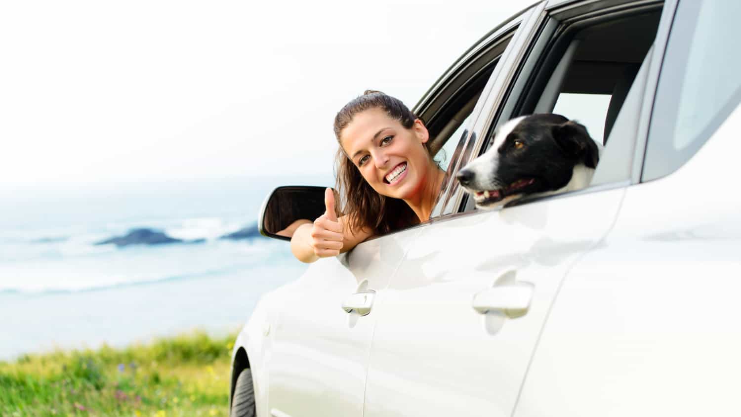 Happy woman traveling in car with dog. Coast landscape background.