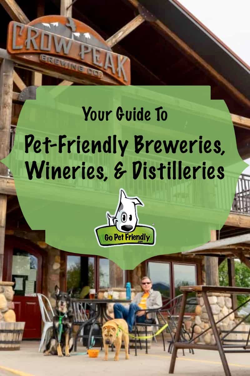 A Guide To Pet Friendly Breweries, Wineries, and Distilleries