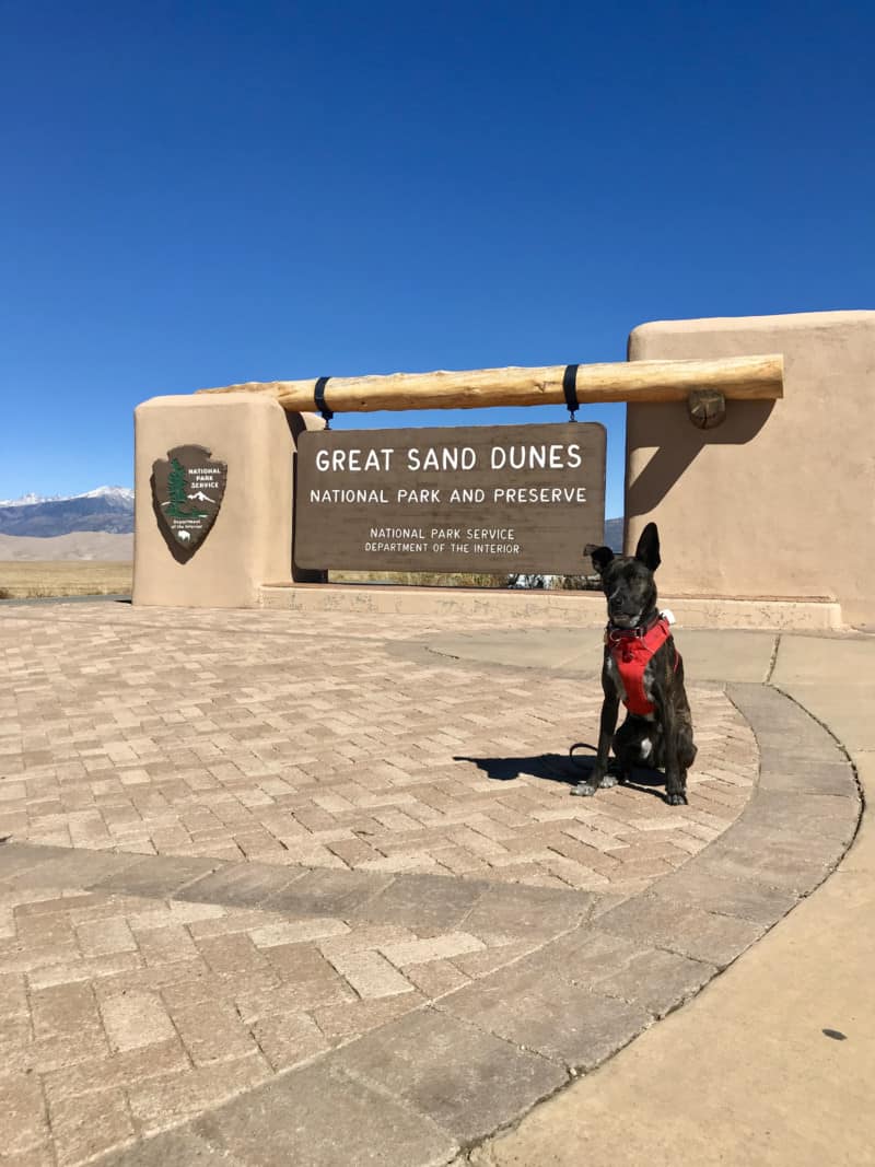 Visiting Great Sand Dunes National Park With Pets My Pets Routine