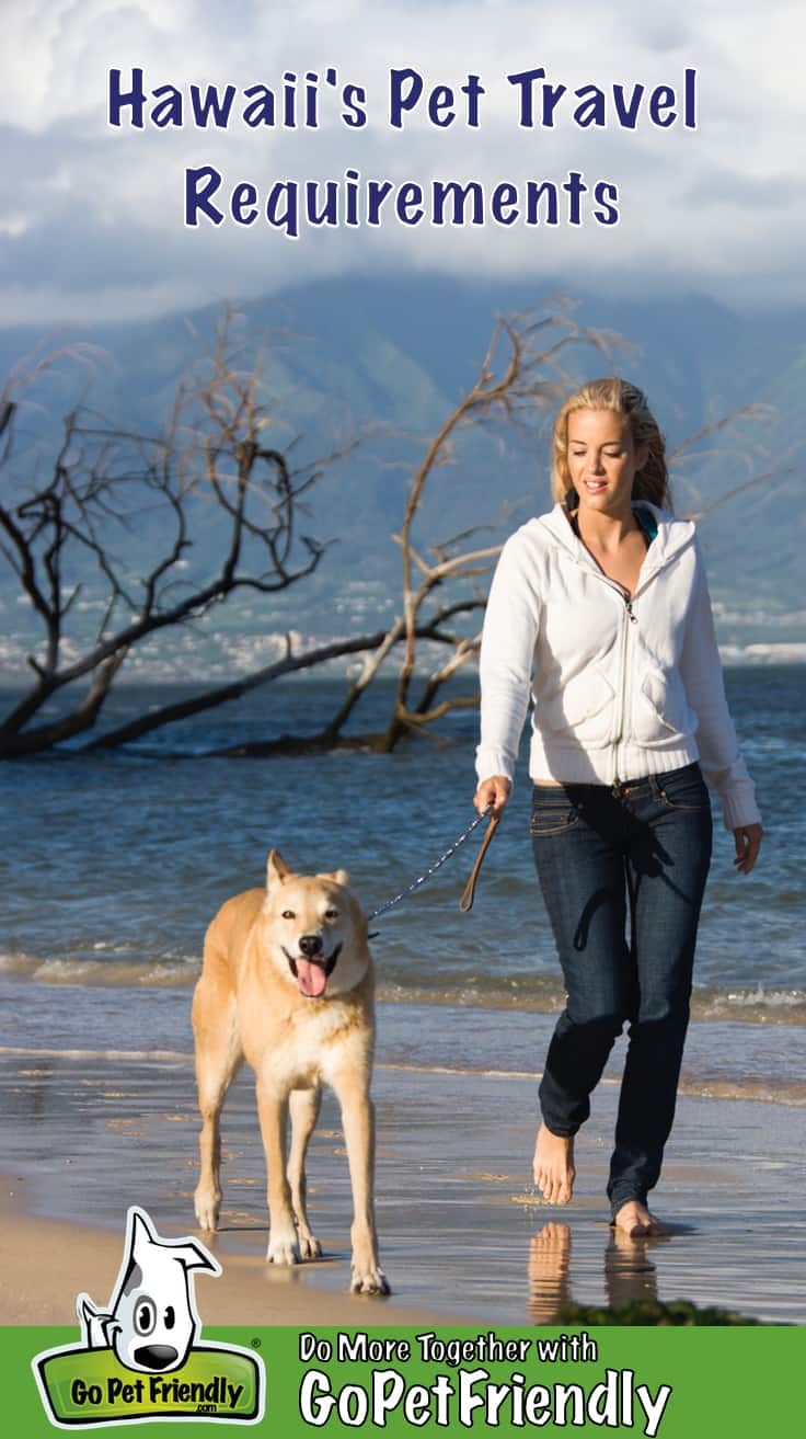 Woman and dog walking on a pet friendly beach in Hawaii