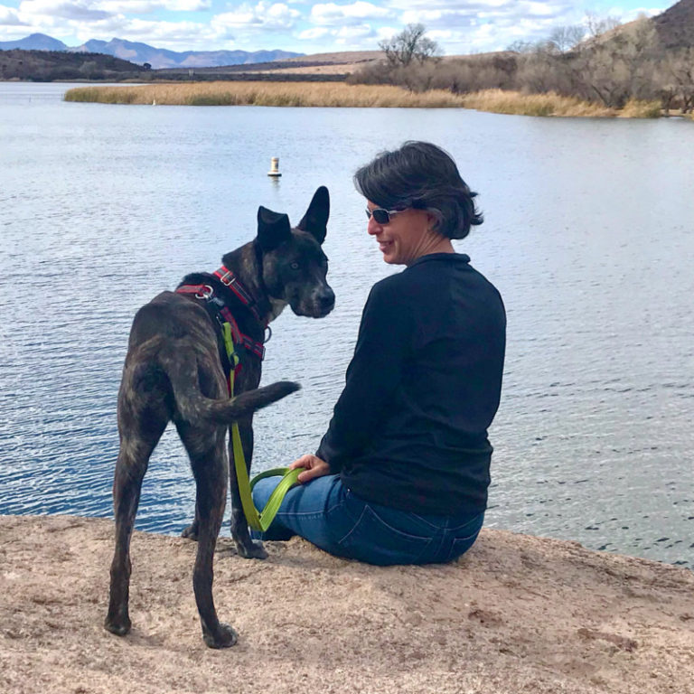 15 Dog Friendly Things To Do Around Tucson, AZ | GoPetFriendly