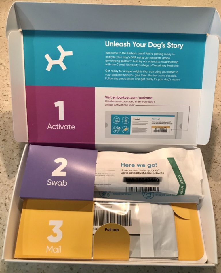 Dog DNA Test Review And Comparison - Embark vs. Wisdom Panel