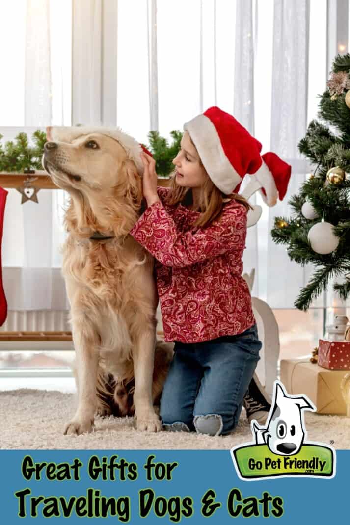The Best Holiday Gift Ideas for Dog and Cat Lovers